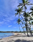 canada travel advisory hawaii