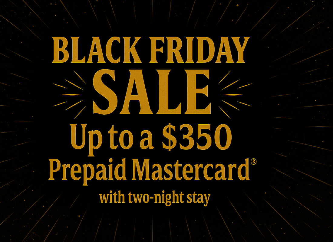 33 t black friday banner 1100x800
