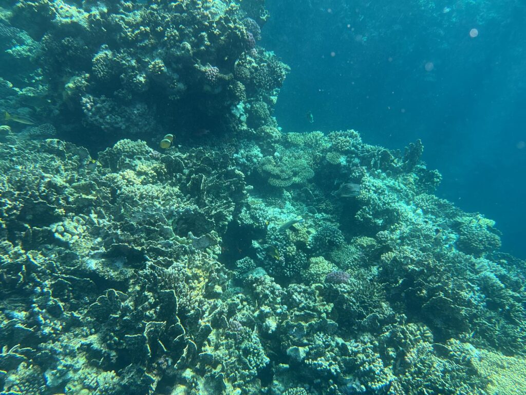 784e13b4 2063 4fa4 8262 32ab3788055b