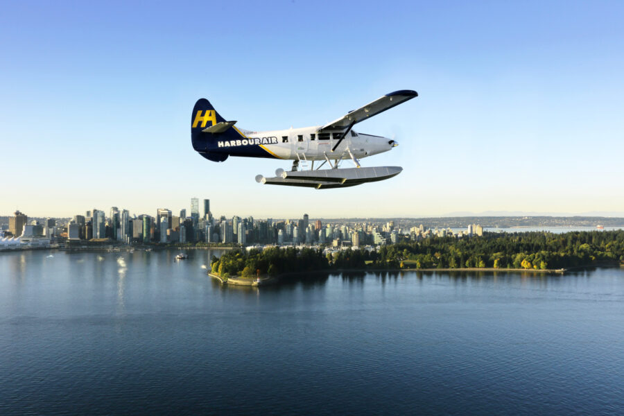 Otter with Vancouver skyline